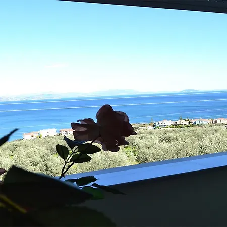 Дом отдыха Unlimited Sea View